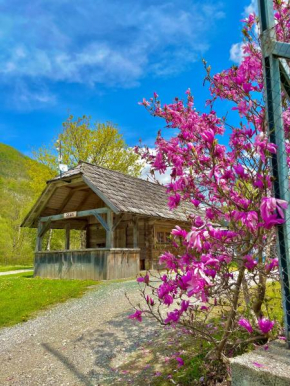Camping Danica Cottage Stan Bohinjska Bistrica